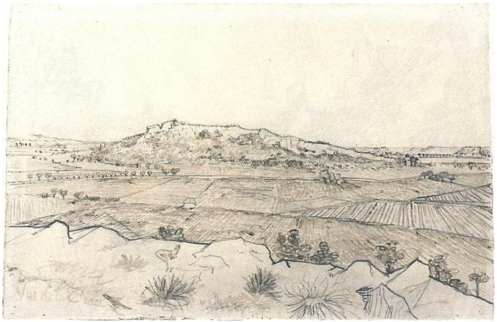 Plain of La Crau, The by Vincent Van Gogh - 1384 - Drawing