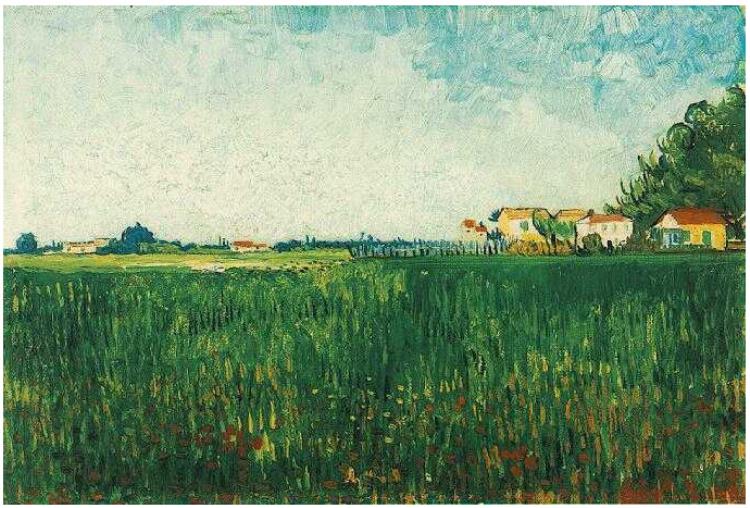 Farmhouses in Wheat Field Near Arles