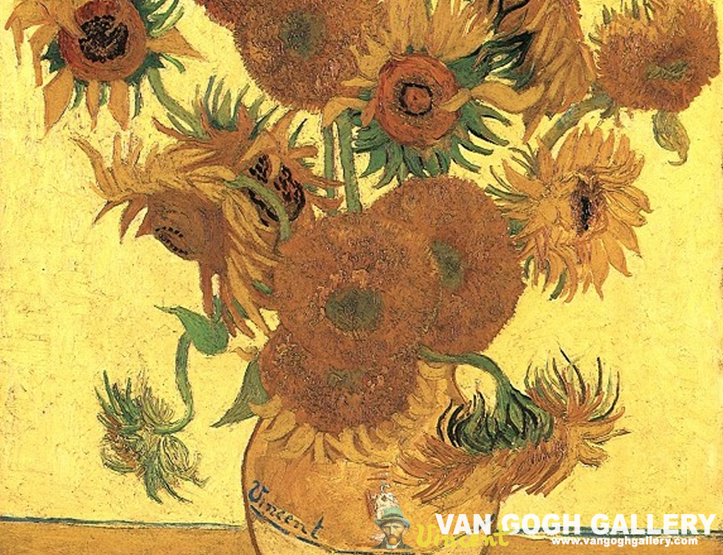 Sunflower  wallpaper